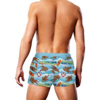 Prowler Badetøj - Gaywatch Bears, billede 2