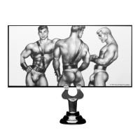 XR Brands Butt Plug, picture 2