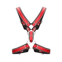 Ouch! Z Series Scottish Harness, immagine 6