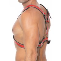 Ouch! Z Series Scottish Harness, immagine 7