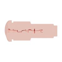 XKIN Metallix - Lexi Rouge - Masturbador Lanterna Vibratório - Anal - 590g - Ouro Rosa/Cor de pele, imagem 4