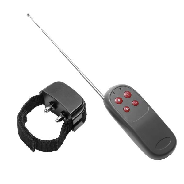 XR Brands Cock Shock - Penisring med elektrostimulation og fjernbetjening