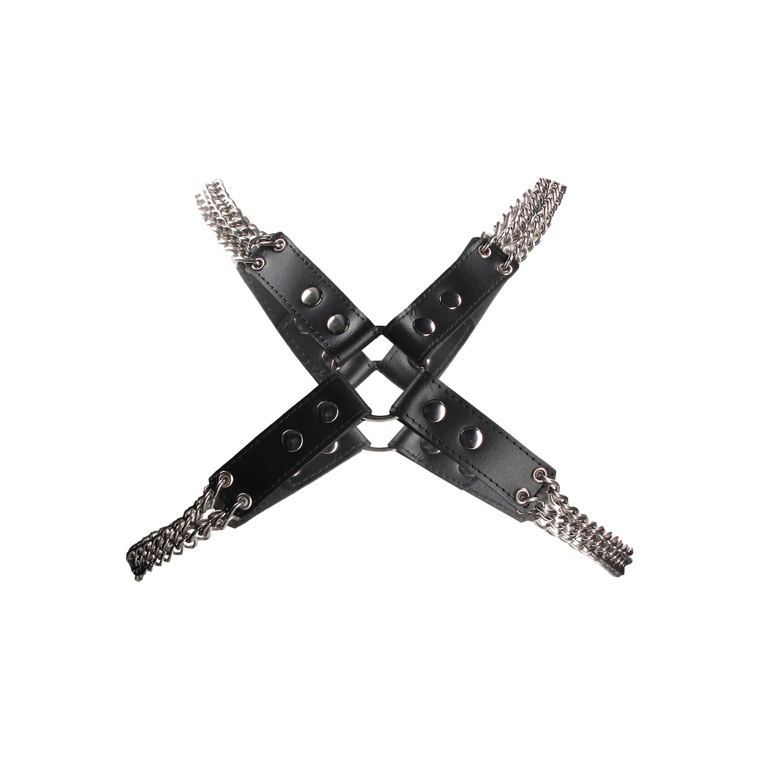Chain and Chain Harness - Image 3
