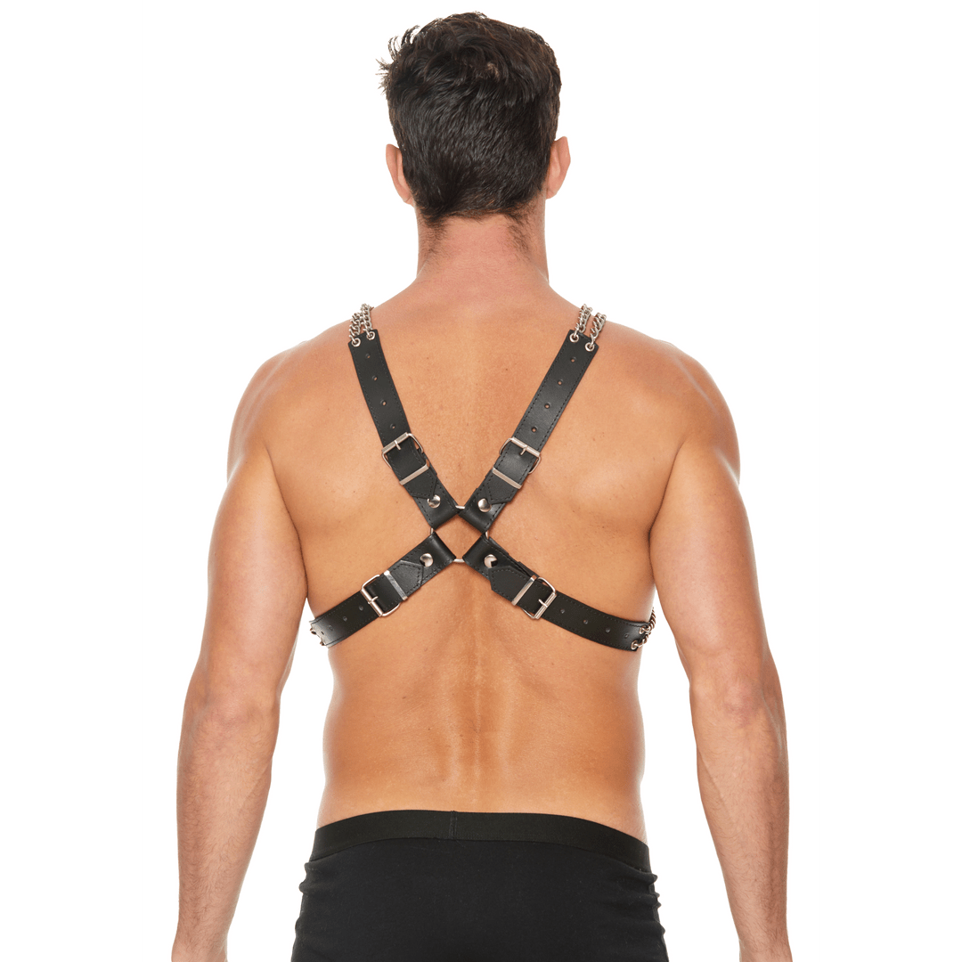 Chain and Chain Harness - Image 4