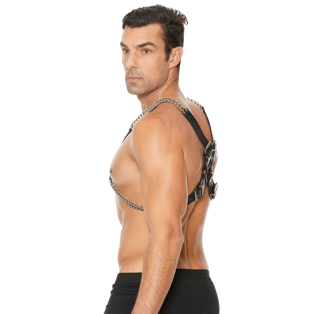 Chain and Chain Harness - Image 5